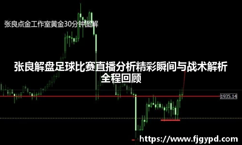 张良解盘足球比赛直播分析精彩瞬间与战术解析全程回顾