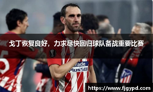 戈丁恢复良好，力求尽快回归球队备战重要比赛