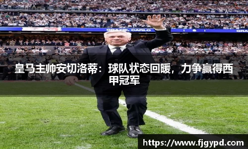 皇马主帅安切洛蒂：球队状态回暖，力争赢得西甲冠军